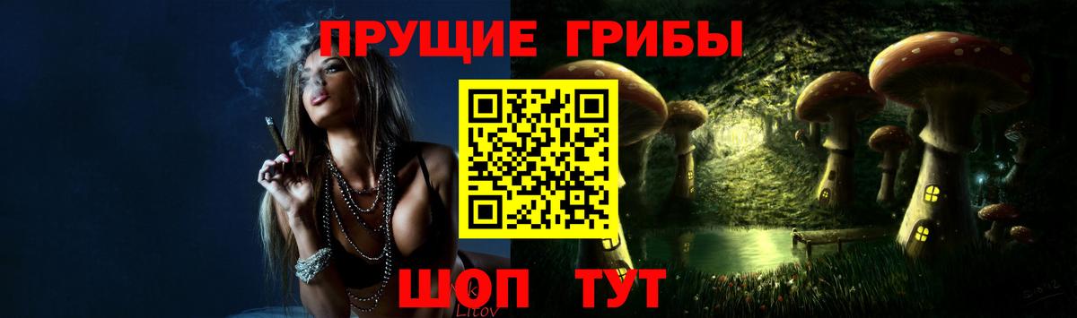 Галлюциногенные грибы Psilocybe  Вход с VPN  Волгоград 
